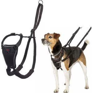 AirFit No-Pull Dog Harness