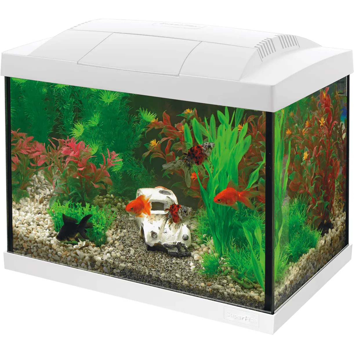 Starter Glass Aquarium Kit 20L
