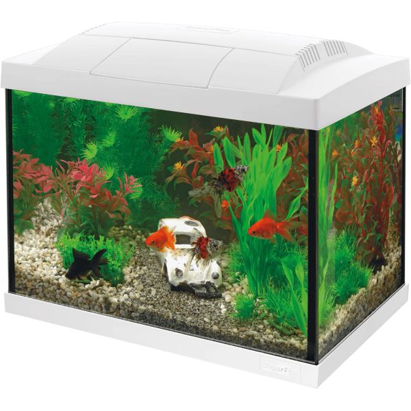 Starter Glass Aquarium Kit 20L